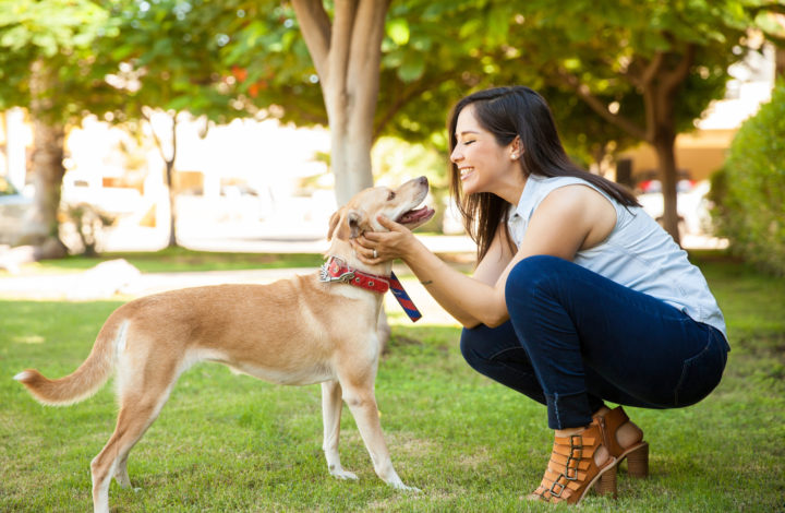 Chien qui convient à votre style de vie