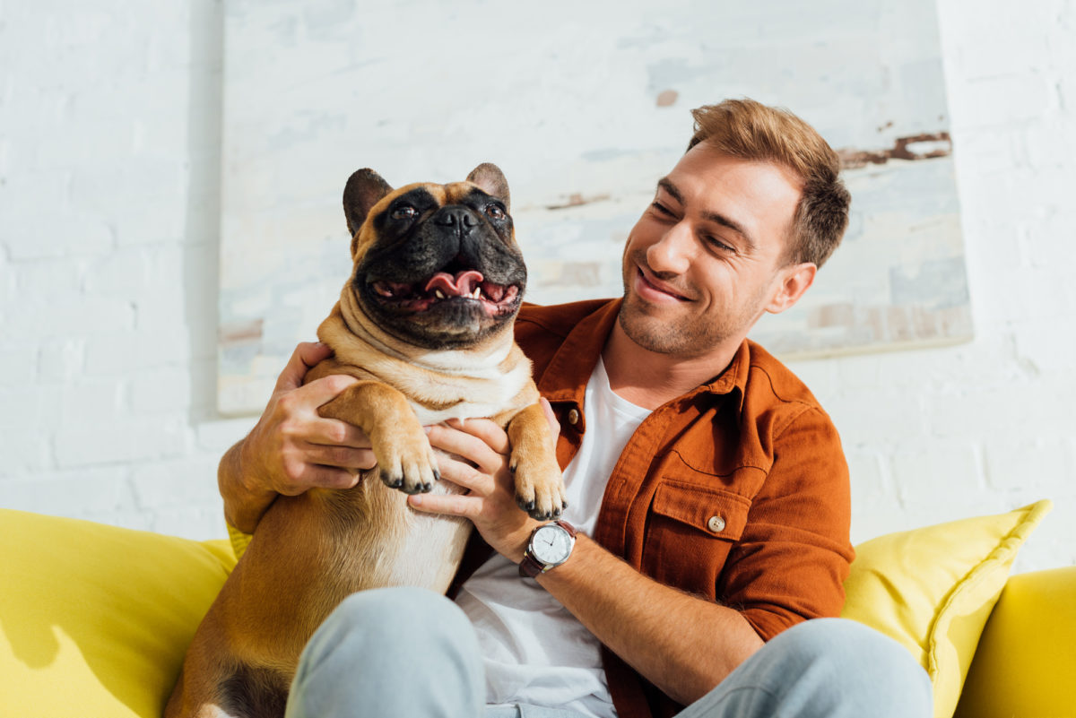 Bouledogue français