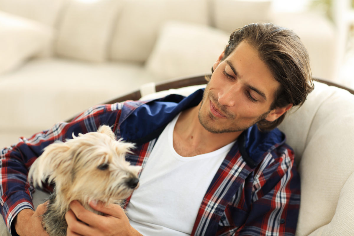 Activités à faire avec un chien d’appartement