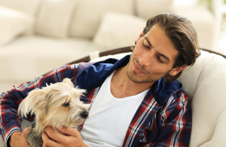 Activités à faire avec un chien d’appartement