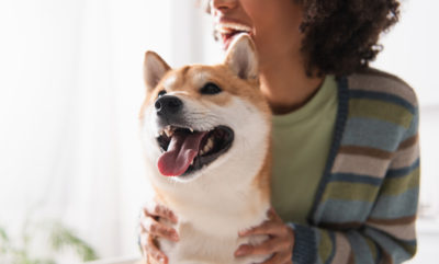 Chien manger du chewing-gum