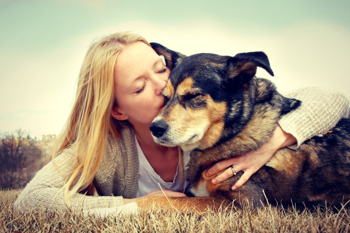 Comment savoir si votre chien vous aime