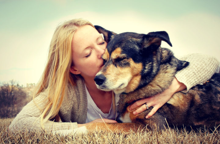 Comment savoir si votre chien vous aime