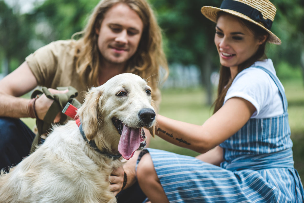 Chiens qui vivent le plus longtemps