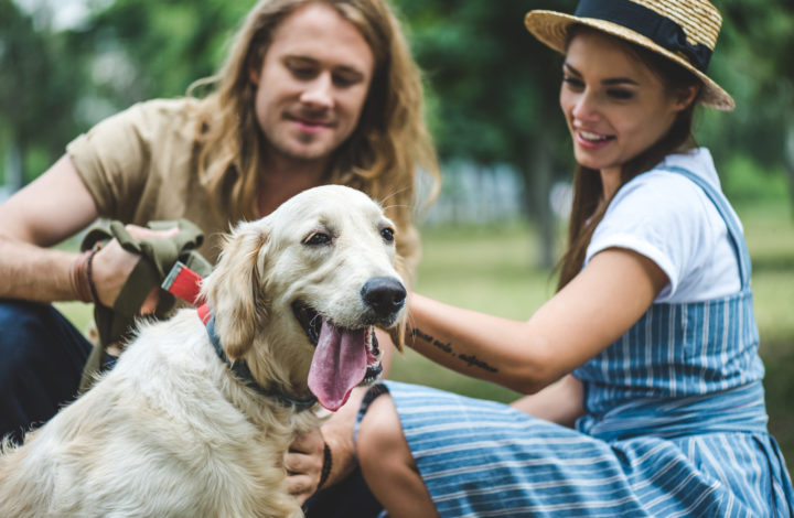 Chiens qui vivent le plus longtemps