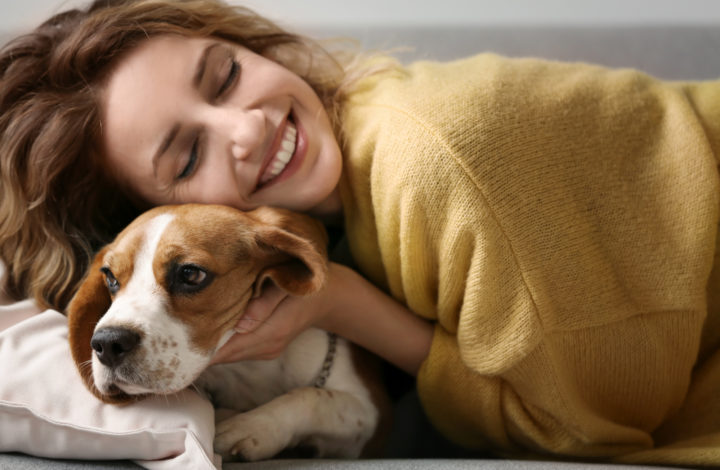 Races de chiens qui sont les plus douces et câlines