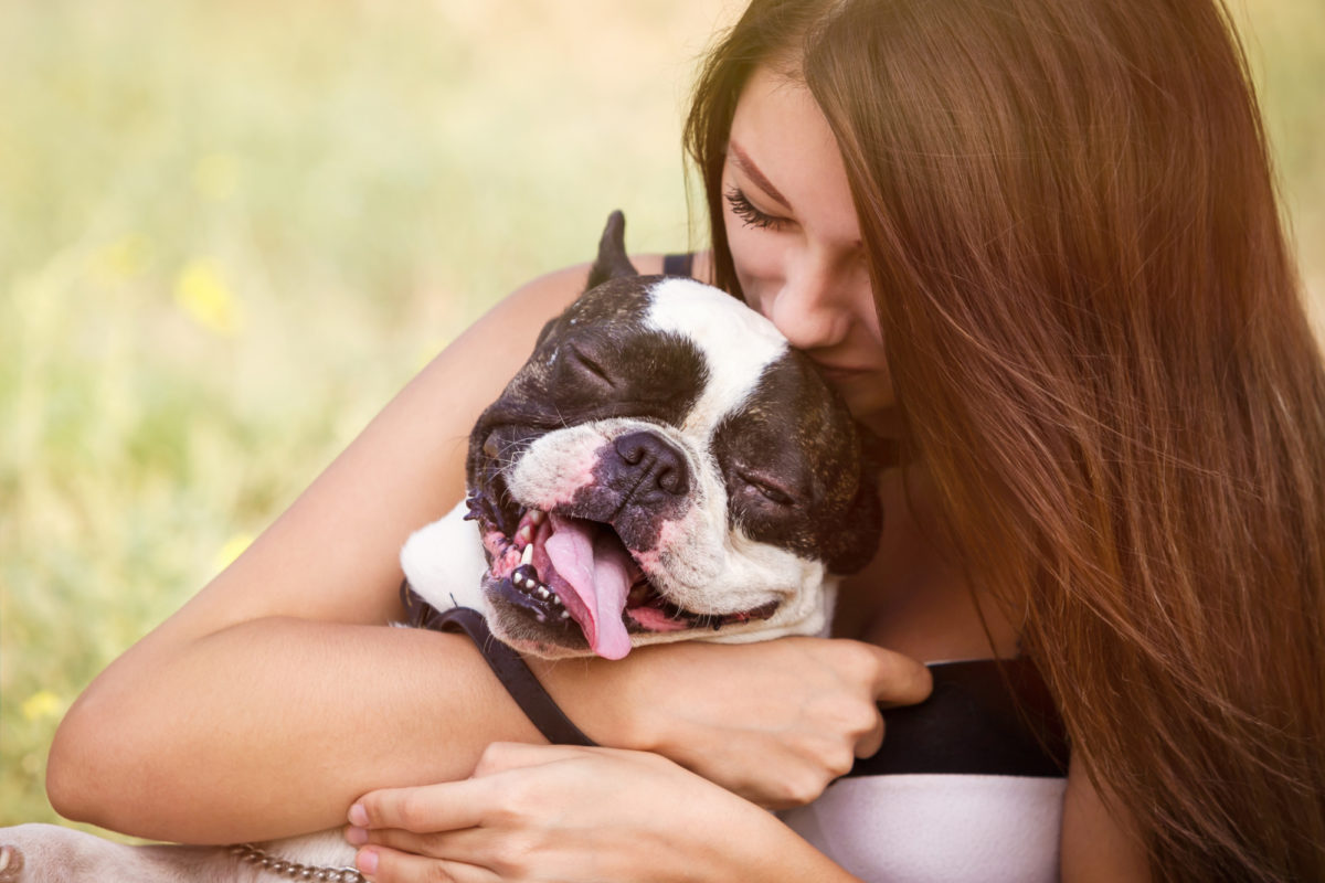 Races de chiens les plus affectueuses