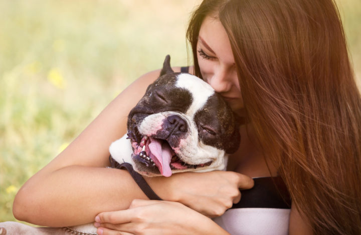 Races de chiens les plus affectueuses