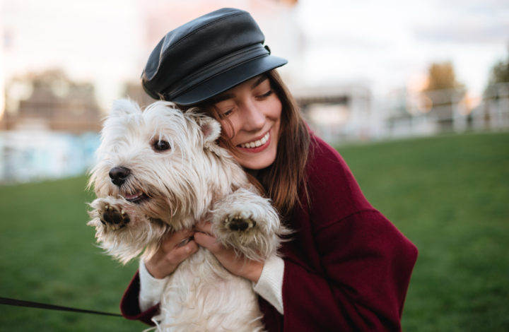 Race de chien pour chacun des signes astrologiques