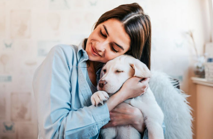 Race de chien : 10 molosses qui adorent les câlins