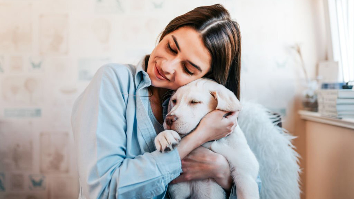 Race de chien : 10 molosses qui adorent les câlins