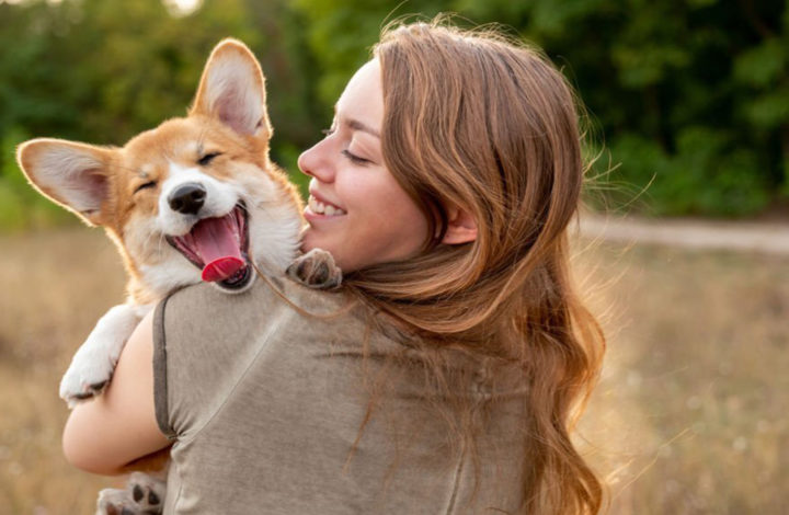 Chiens : Voici les races les plus sages à adopter !