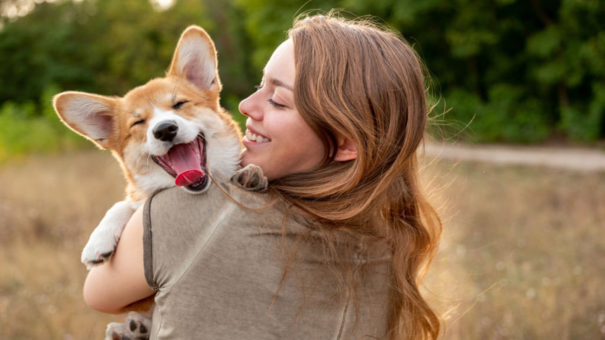 Chiens : Voici les races les plus sages à adopter !