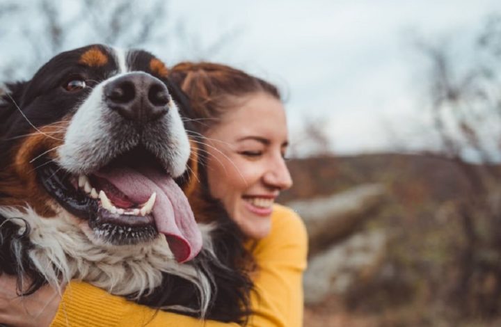 Chien : Comment faire si votre animal de compagnie ne veut pas se faire caresser !