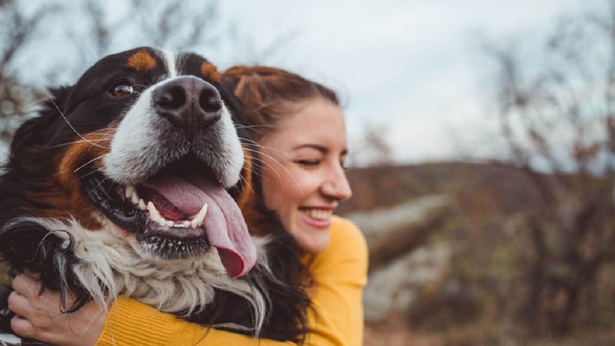 Chien : Comment faire si votre animal de compagnie ne veut pas se faire caresser !