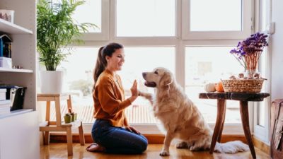 Race de chien : Découvrez le vôtre selon votre signe du zodiaque