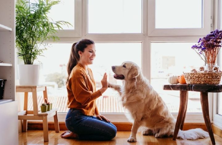 Race de chien : Découvrez le vôtre selon votre signe du zodiaque