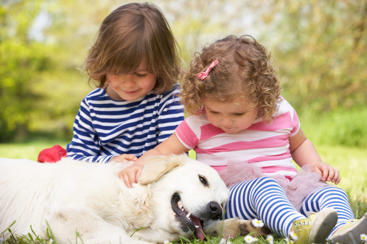 Chien avec enfant