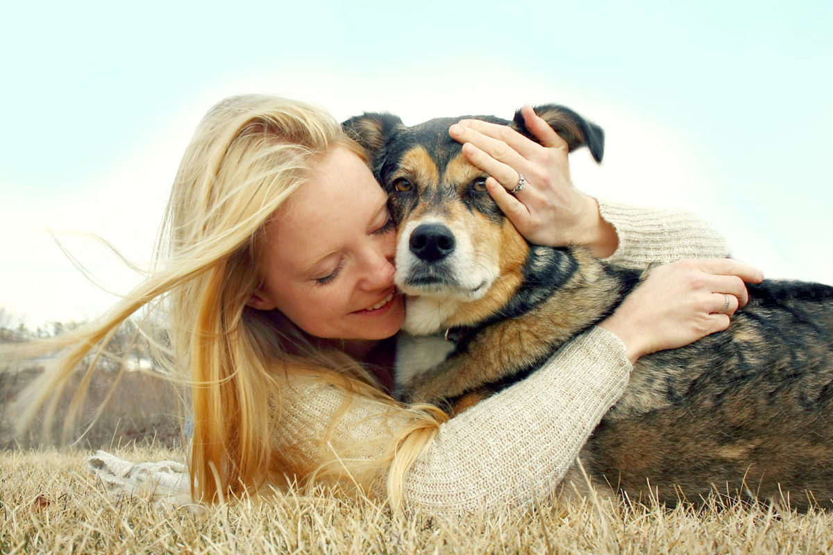 chien calin