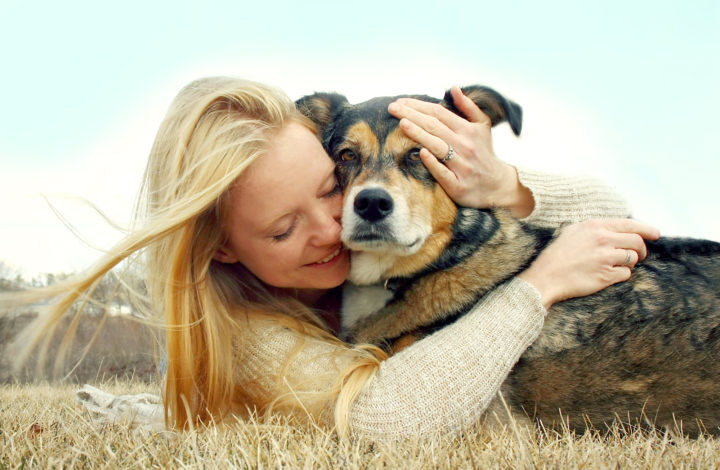 chien calin