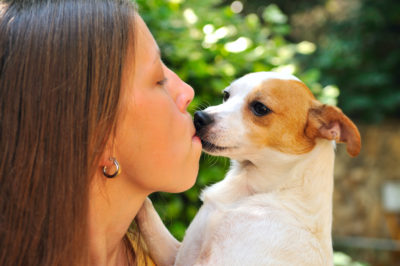 Chien qui vouent un amour inconditionnel