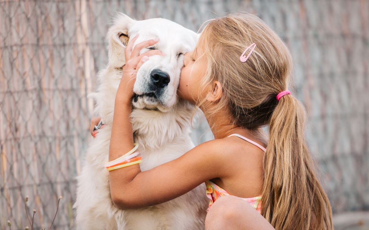 Races de chien enfants