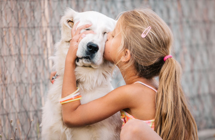 Races de chien enfants