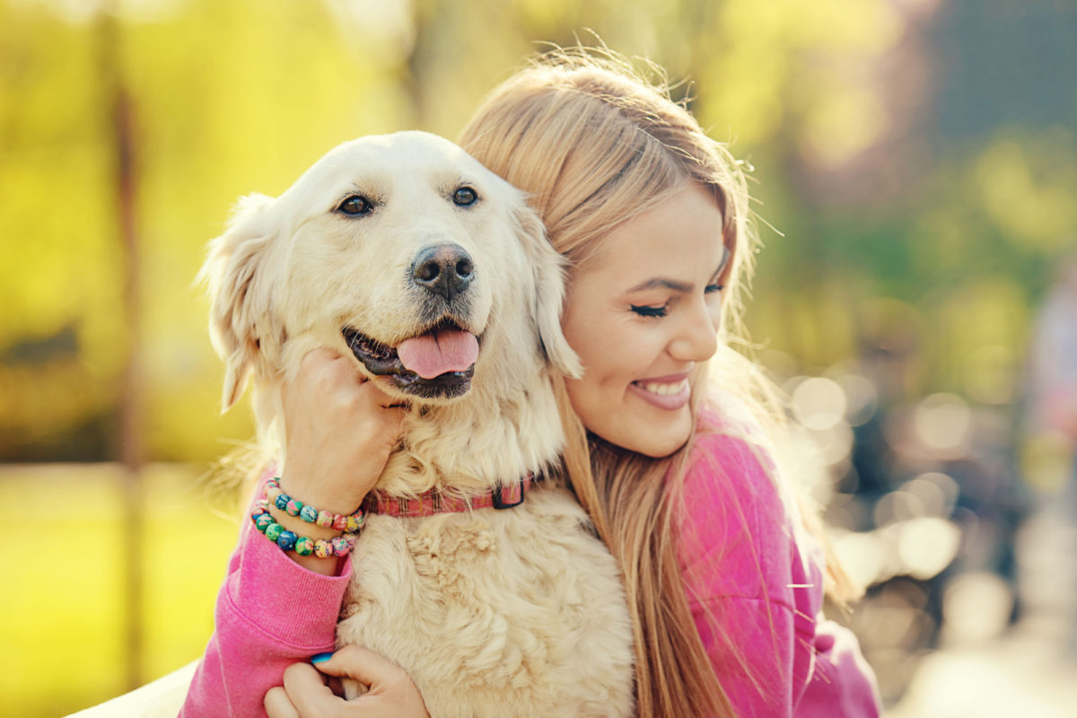 Races de chiens qui sont les plus loyales