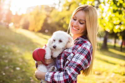 4 races de chiens parfaites pour la vie urbaine