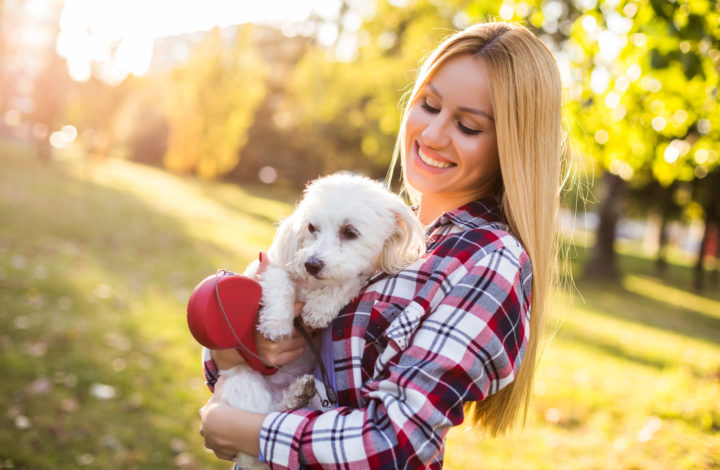 4 races de chiens parfaites pour la vie urbaine