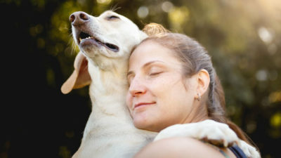 Chien : Les races qui vivent en parfaite harmonie avec leur maître