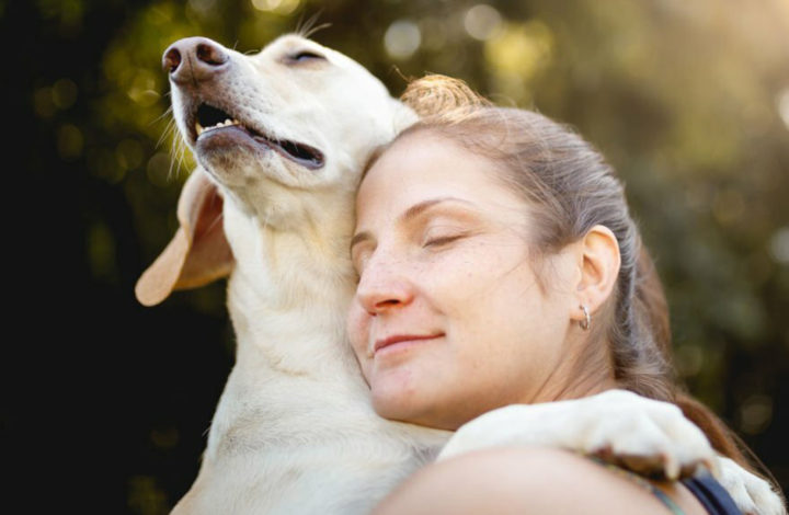 Chien : Les races qui vivent en parfaite harmonie avec leur maître