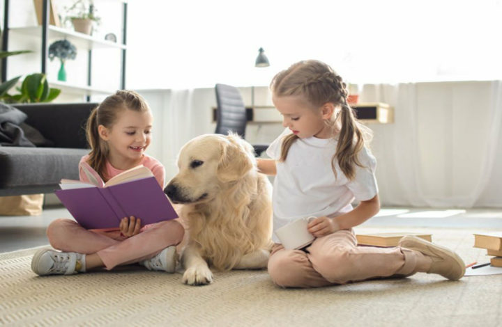 Chien : Les plus indiqués pour une famille avec enfants