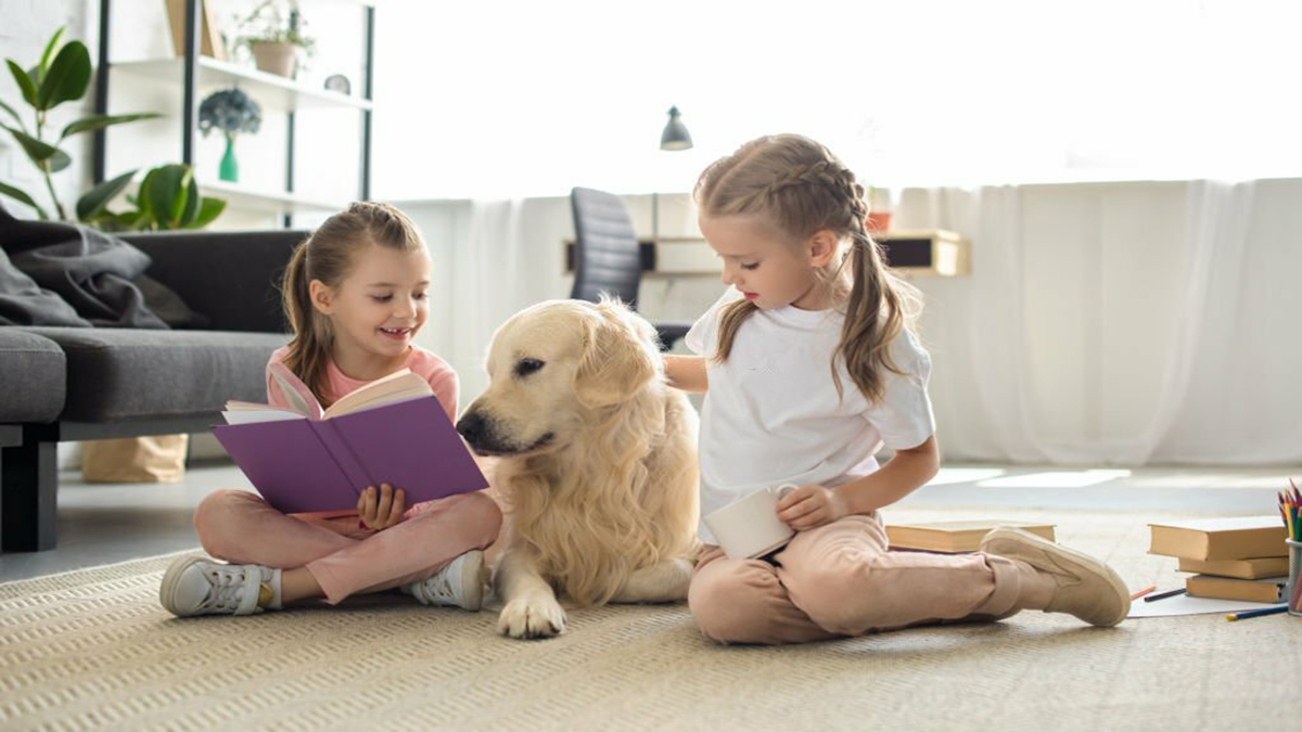 Chien : Les plus indiqués pour une famille avec enfants
